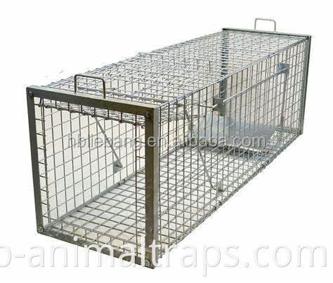 VENDITA CALDA Live Catch Liebang Heavy Duty 60x18x20 pollici di cinghiale Fox Boar Cage Trap in vendita